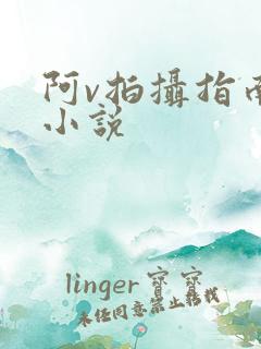 阿v拍摄指南说小说