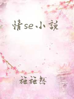 情se小说