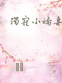 独宠小娇妻