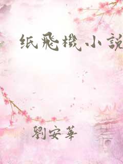 纸飞机小说