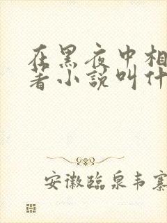 在黑夜中相拥原著小说叫什么