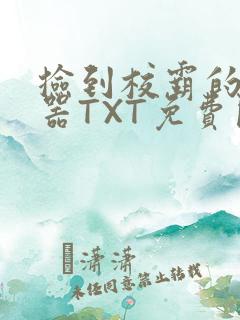 捡到校霸的遥控器TXT免费阅读