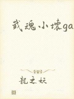 武魂小坏ga