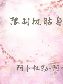 限制级贴身高手