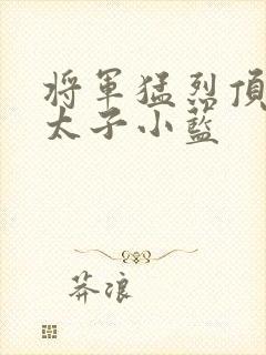 将军猛烈顶弄h太子小蓝