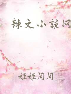 辣文小说网