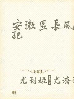 安徽区长风流日记