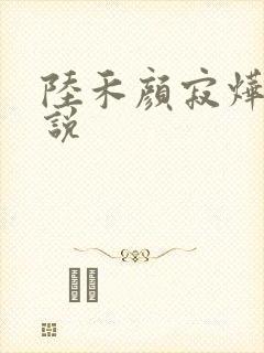 陆禾颜寂烨霖小说