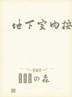 地下室肉按摩椅