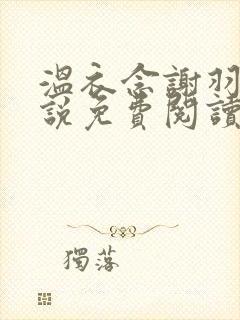 温衣念谢羽渊小说免费阅读