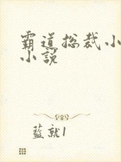 霸道总裁小娇妻小说