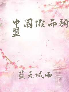 中国假面骑士联盟