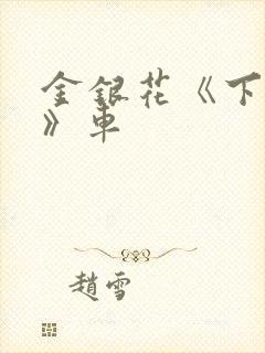 金银花《下厨房》车