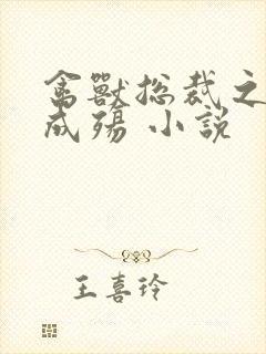 禽兽总裁之虐爱成殇 小说