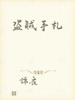 盗贼手札