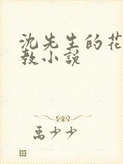 沈先生的花式调教小说