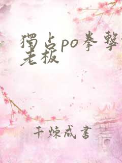 独占po拳击馆老板