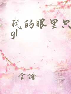 我的眼里只有你gl
