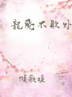 龙飞不败外传