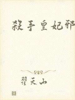 杀手皇妃邪魅帝