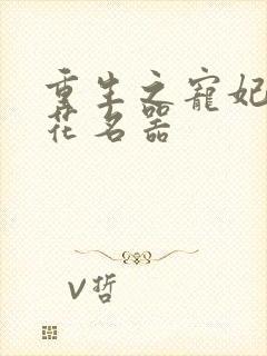 重生之宠妃白莲花名器