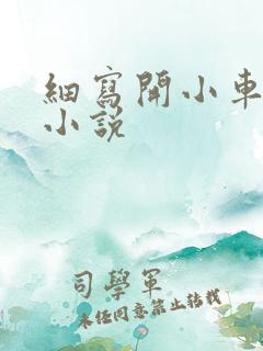 细写开小车车的小说