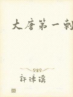 大唐第一刺局