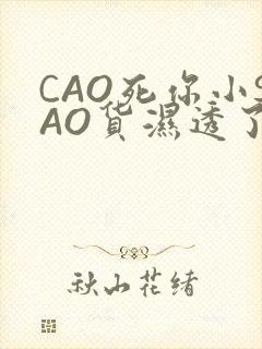 CAO死你小SAO货湿透了学长