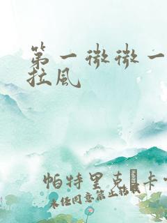 第一微微一笑很拉风