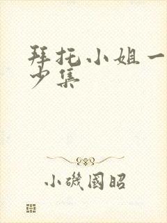 拜托小姐一共多少集