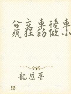 公交车后车座的疯狂的做小