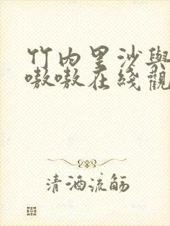 竹内里沙与黑人嗷嗷在线观看