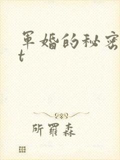 军婚的秘密txt