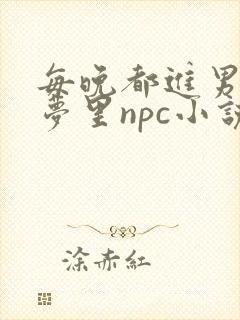 每晚都进男神的梦里npc小说