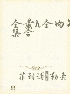 全黄h全肉短篇集合