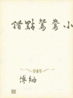 错点鸳鸯小说