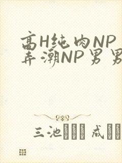 高H纯肉NP 弄潮NP男男