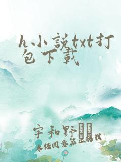 h小说txt打包下载