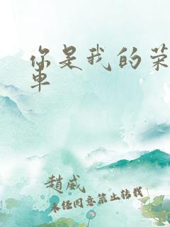 你是我的荣耀肉车