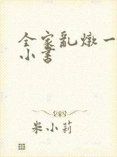 全家乱炖一锅烩小书