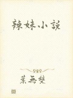 辣妹小说