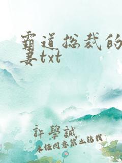 霸道总裁的挂名妻txt