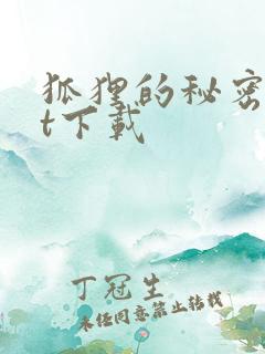 狐狸的秘密txt下载