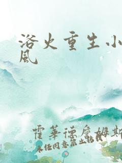 浴火重生小说陈风