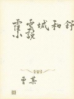 霍云城和舒情的小说