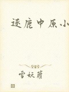 逐鹿中原小说