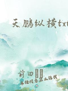天鹏纵横txt
