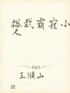 总裁霸宠小小女人