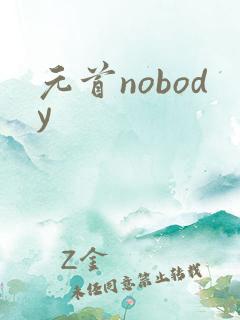 元首nobody