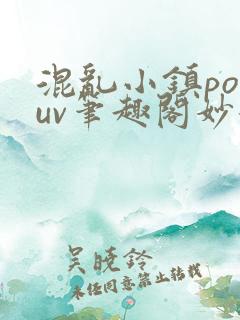 混乱小镇popuv笔趣阁妙妙